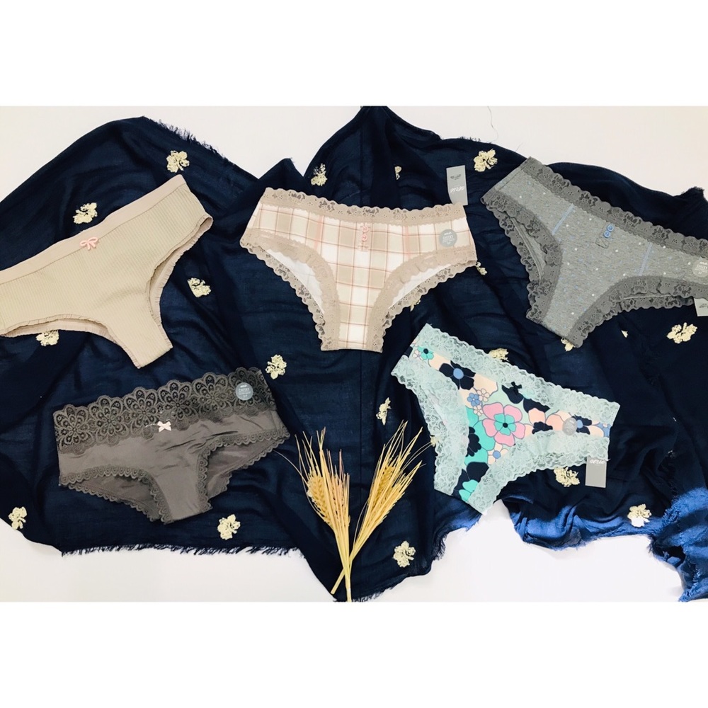 Aerie cheeky panties new with tags